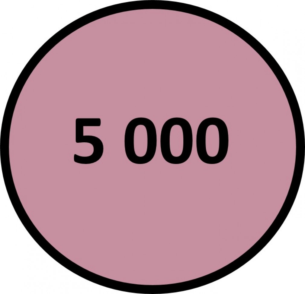 5 000