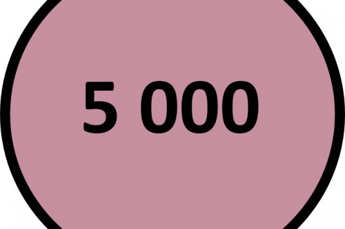 5 000