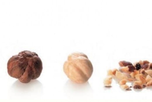 filière noisette belge