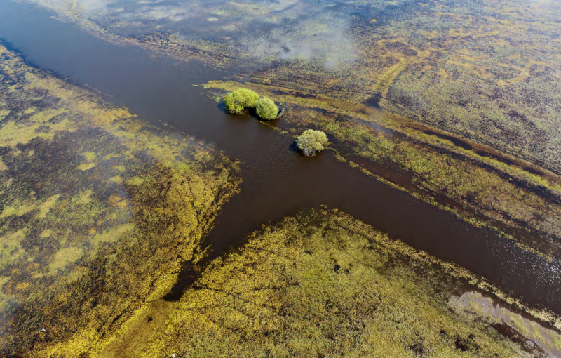 Loire Atlantique_lac de Grand Lieu