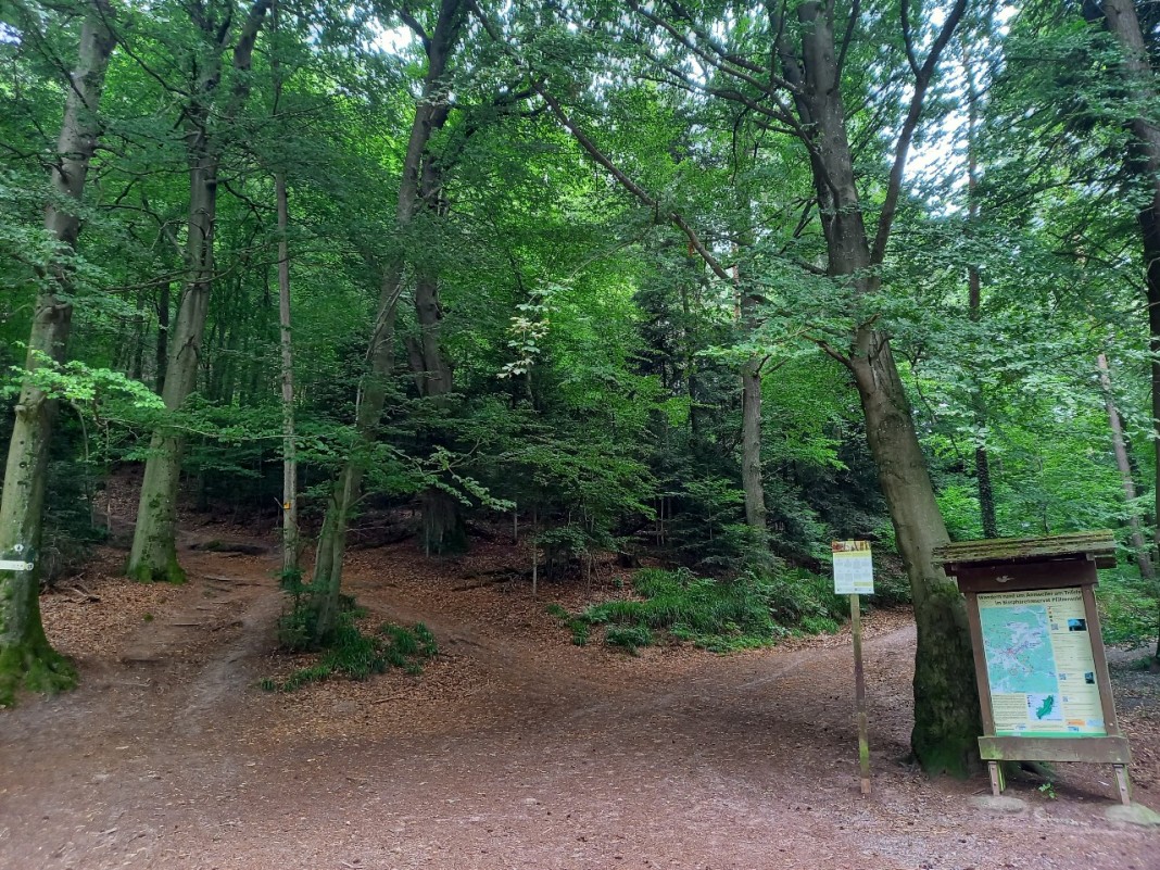 chemin trifels