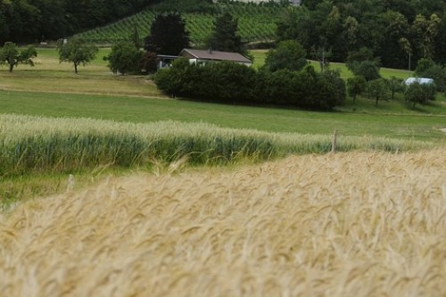 closed-habsburg-380062-960-720