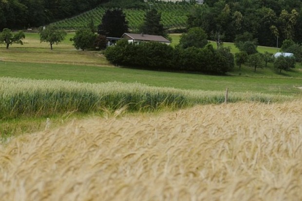 closed-habsburg-380062-960-720