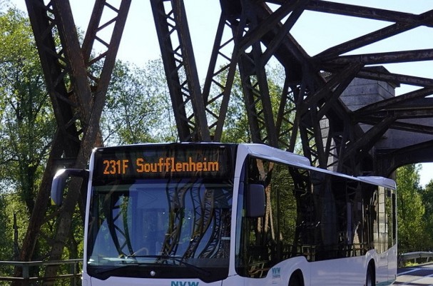 Bus