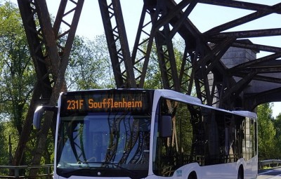 Bus