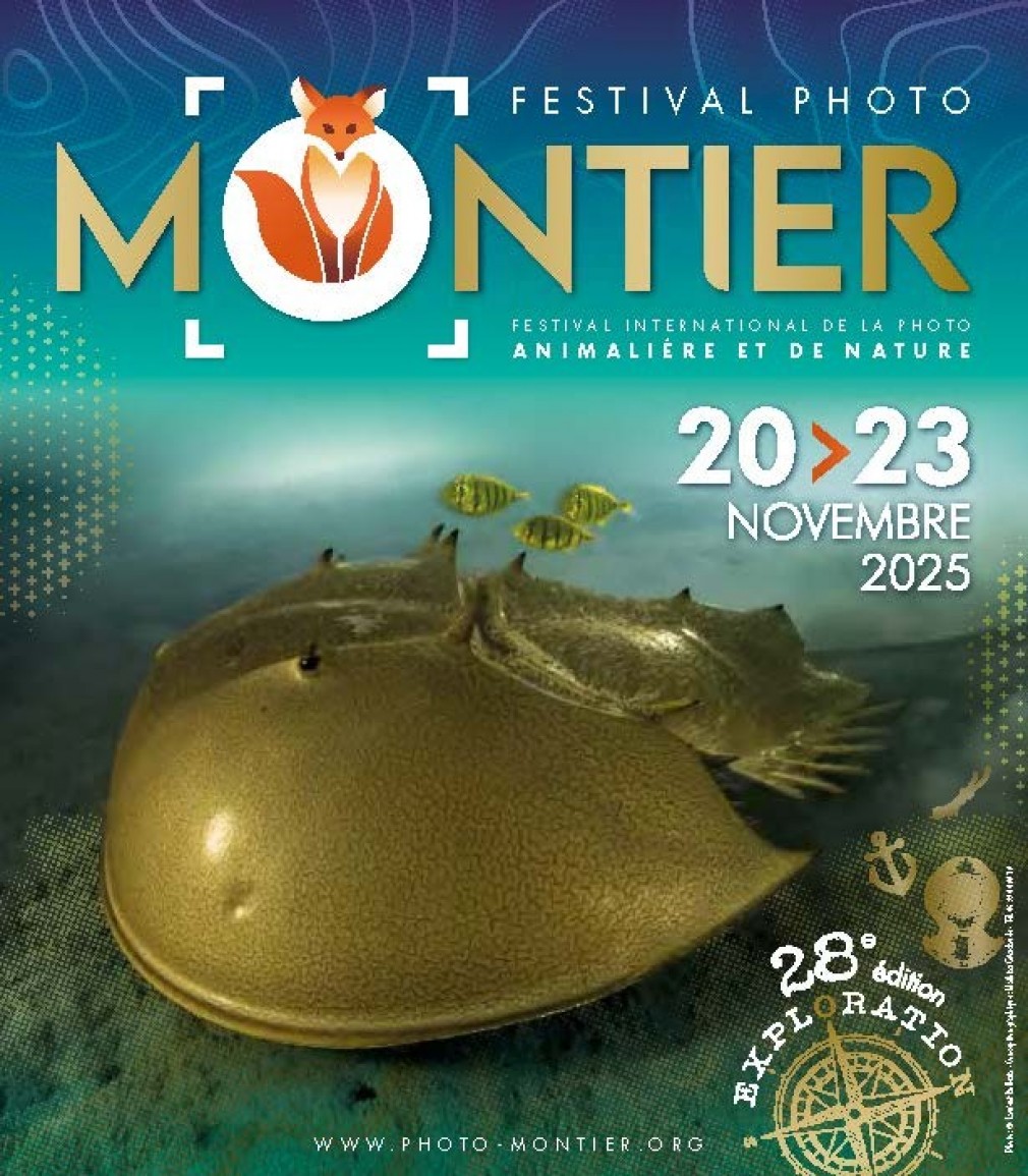 FESTIVAL PHOTO MONTIER EN DER