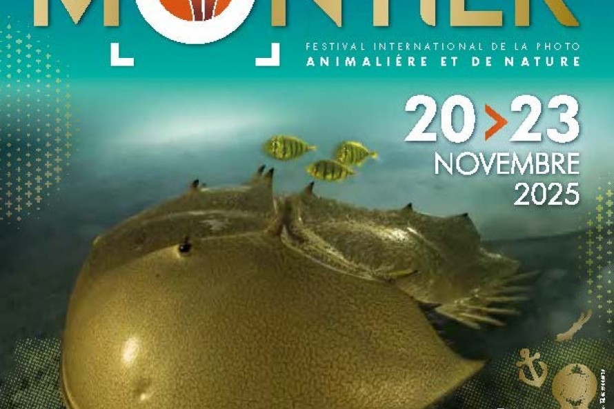 FESTIVAL PHOTO MONTIER EN DER