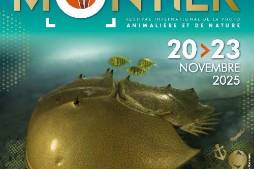 FESTIVAL PHOTO MONTIER EN DER