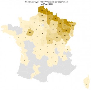 Grand Est Fièvre catarrhale ovine