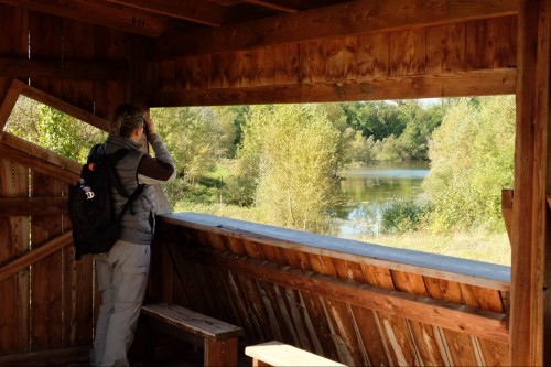 île du Rhin - PCA - Léa Merckling © Romain Gascon