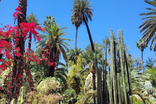 jardin