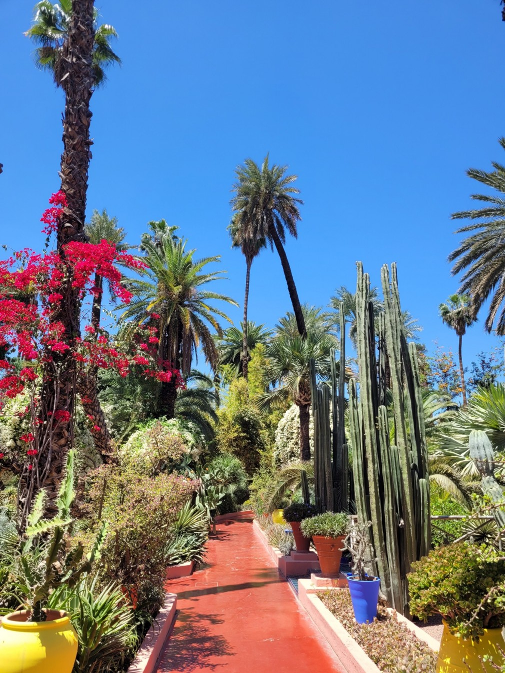 jardin
