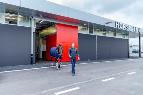 Aéroport Liège chevaux