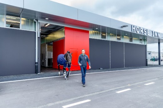 Aéroport Liège chevaux