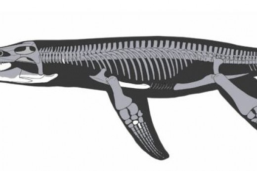 lorrainosaure