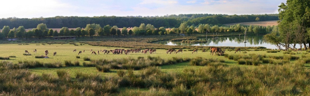 plaine-des-cerfs