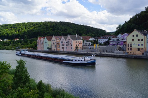 rhin-automoteur-