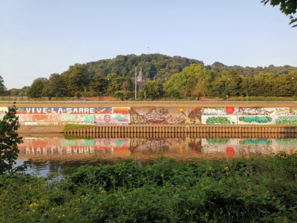 Rive gauche de la Sarre