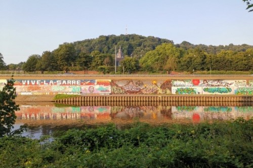 Rive gauche de la Sarre