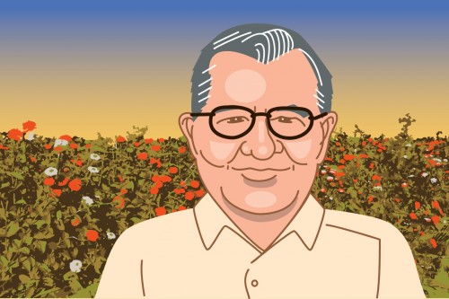 thumbnail-pelt-portrait-ok