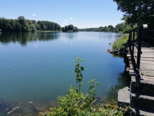 vieux-rhin-web-3410-1010758