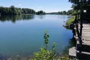 vieux-rhin-web-3410-1010758