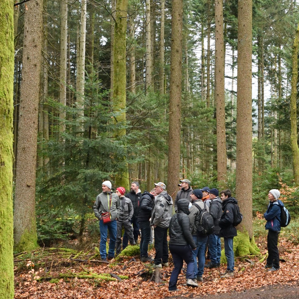 visite forêt noire apiculteurs