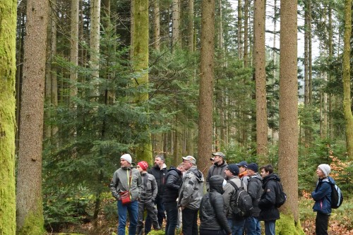 visite forêt noire apiculteurs