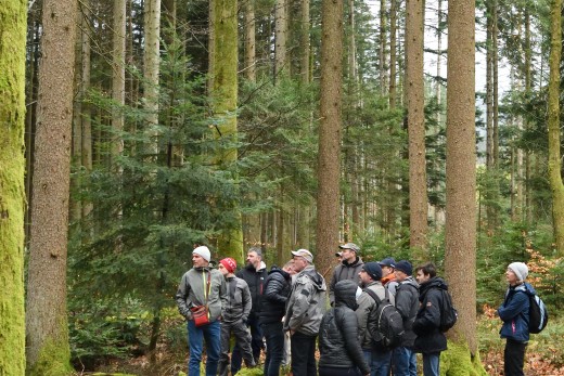 visite forêt noire apiculteurs