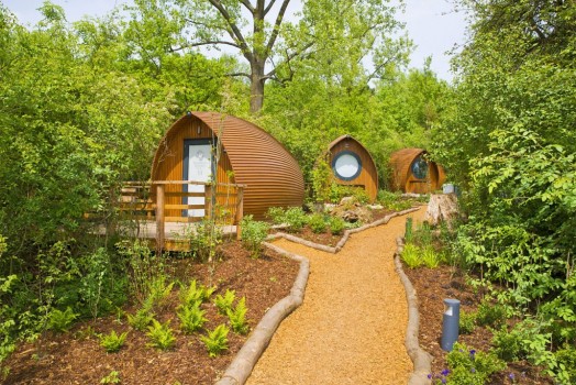 Glamping Sarre