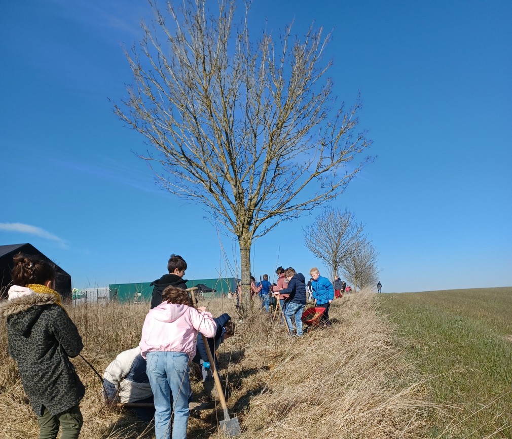 Wallonie: haies et arbres par milliers