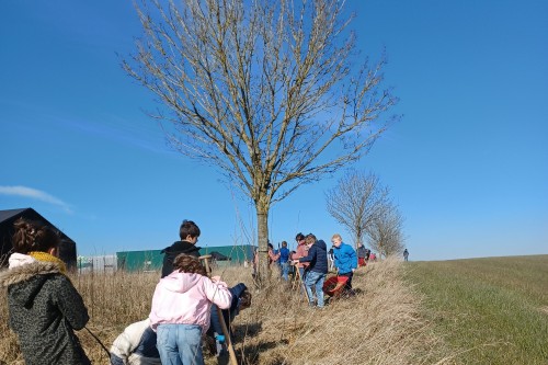 Wallonie: haies et arbres par milliers